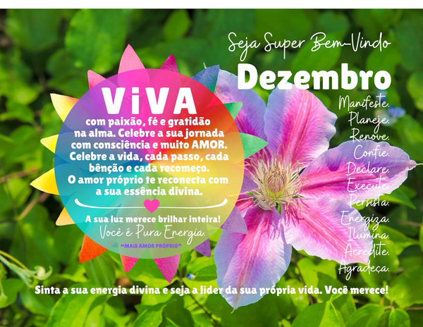 Calendário 2026 VIVA A VIDA :: Edição Exclusiva "Iluminação"