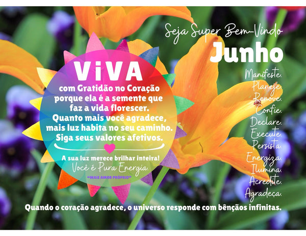 Calendário 2026 VIVA A VIDA :: Edição Exclusiva "Iluminação"