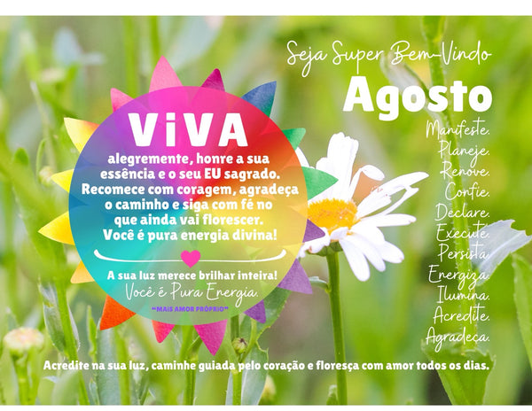 Calendário 2026 VIVA A VIDA :: Edição Exclusiva "Iluminação"