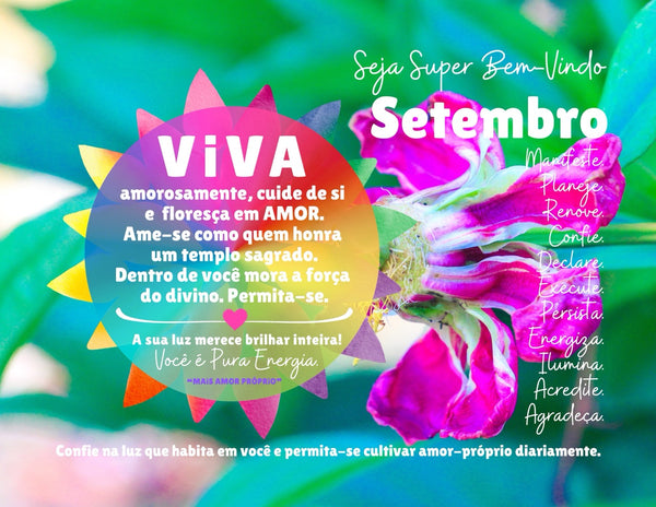 Calendário 2026 VIVA A VIDA :: Edição Exclusiva "Iluminação"